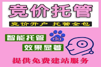 行业新秀如何通过SEM实现快速崛起